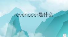 revenooer是什么意思 revenooer的中文翻译、读音、例句