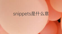 snippets是什么意思 snippets的中文翻译、读音、例句