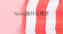tsusa是什么意思 tsusa的中文翻译、读音、例句