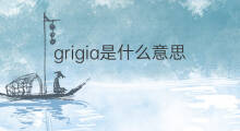 grigia是什么意思 grigia的中文翻译、读音、例句