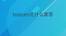balsam是什么意思 balsam的中文翻译、读音、例句
