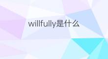 willfully是什么意思 willfully的中文翻译、读音、例句