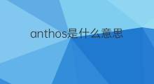 anthos是什么意思 anthos的中文翻译、读音、例句