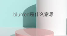 blurred是什么意思 blurred的中文翻译、读音、例句