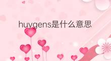 huygens是什么意思 huygens的中文翻译、读音、例句
