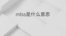 mlss是什么意思 mlss的中文翻译、读音、例句