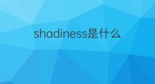 shadiness是什么意思 shadiness的中文翻译、读音、例句