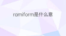 ramiform是什么意思 ramiform的中文翻译、读音、例句