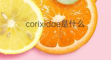 corixidae是什么意思 corixidae的中文翻译、读音、例句