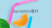 ascription是什么意思 ascription的中文翻译、读音、例句