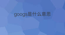 googs是什么意思 googs的中文翻译、读音、例句
