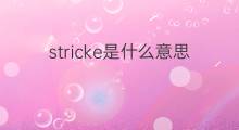 stricke是什么意思 stricke的中文翻译、读音、例句