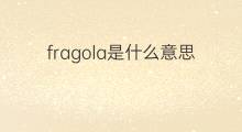 fragola是什么意思 fragola的中文翻译、读音、例句