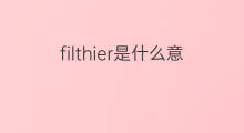 filthier是什么意思 filthier的中文翻译、读音、例句