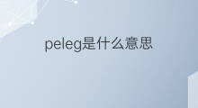 peleg是什么意思 peleg的中文翻译、读音、例句