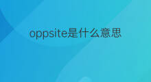 oppsite是什么意思 oppsite的中文翻译、读音、例句