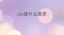 cin是什么意思 cin的中文翻译、读音、例句