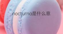 nocturna是什么意思 nocturna的中文翻译、读音、例句