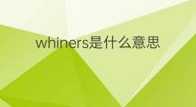 whiners是什么意思 whiners的中文翻译、读音、例句