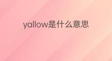 yallow是什么意思 yallow的中文翻译、读音、例句