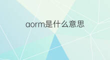 aorm是什么意思 aorm的中文翻译、读音、例句