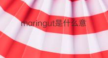 maringut是什么意思 maringut的中文翻译、读音、例句