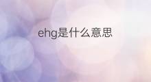 ehg是什么意思 ehg的中文翻译、读音、例句