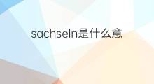 sachseln是什么意思 sachseln的中文翻译、读音、例句