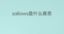 sallows是什么意思 sallows的中文翻译、读音、例句