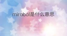 mirabal是什么意思 mirabal的中文翻译、读音、例句