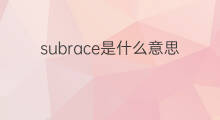subrace是什么意思 subrace的中文翻译、读音、例句