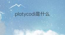 platycodi是什么意思 platycodi的中文翻译、读音、例句