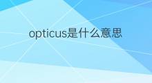 opticus是什么意思 opticus的翻译、读音、例句、中文解释