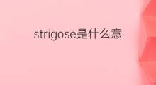 strigose是什么意思 strigose的中文翻译、读音、例句
