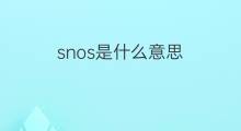 snos是什么意思 snos的中文翻译、读音、例句