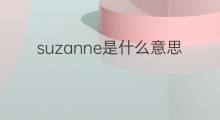 suzanne是什么意思 suzanne的中文翻译、读音、例句