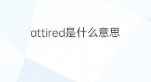 attired是什么意思 attired的中文翻译、读音、例句