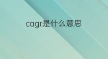cagr是什么意思 cagr的中文翻译、读音、例句