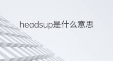 headsup是什么意思 headsup的中文翻译、读音、例句
