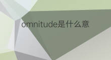 omnitude是什么意思 omnitude的中文翻译、读音、例句