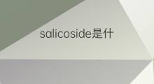 salicoside是什么意思 salicoside的中文翻译、读音、例句