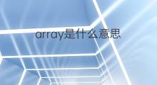 array是什么意思 array的中文翻译、读音、例句