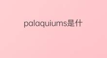 palaquiums是什么意思 palaquiums的中文翻译、读音、例句