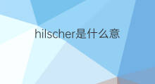 hilscher是什么意思 hilscher的中文翻译、读音、例句