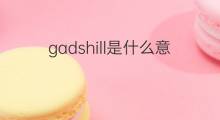 gadshill是什么意思 gadshill的中文翻译、读音、例句