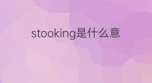 stooking是什么意思 stooking的翻译、读音、例句、中文解释