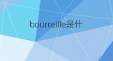 bourreille是什么意思 bourreille的中文翻译、读音、例句