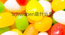 schwaben是什么意思 schwaben的中文翻译、读音、例句