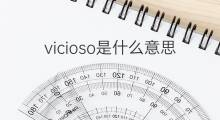 vicioso是什么意思 vicioso的中文翻译、读音、例句