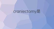 craniectomy是什么意思 craniectomy的中文翻译、读音、例句